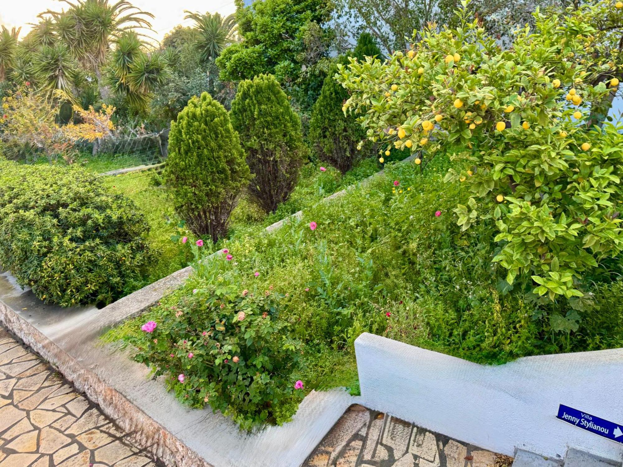 Villa Jenny Stylianou Spétses Exterior foto